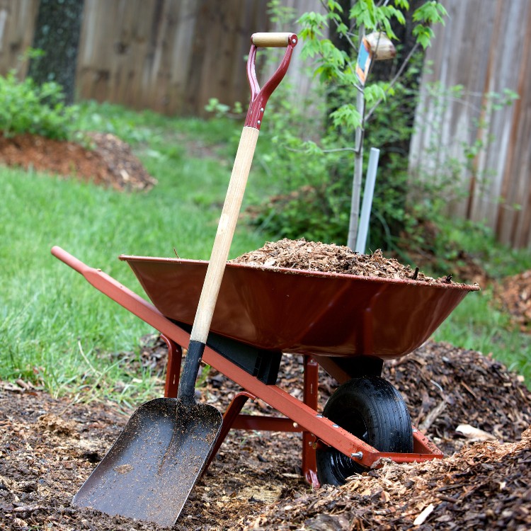 Elevation in Daytona Beach, FL