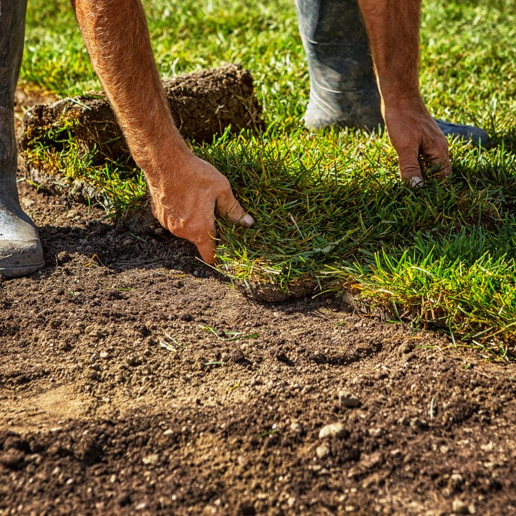 Elevation in Daytona Beach, FL