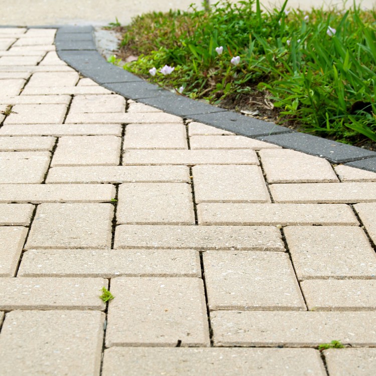 Elevation in Daytona Beach, FL