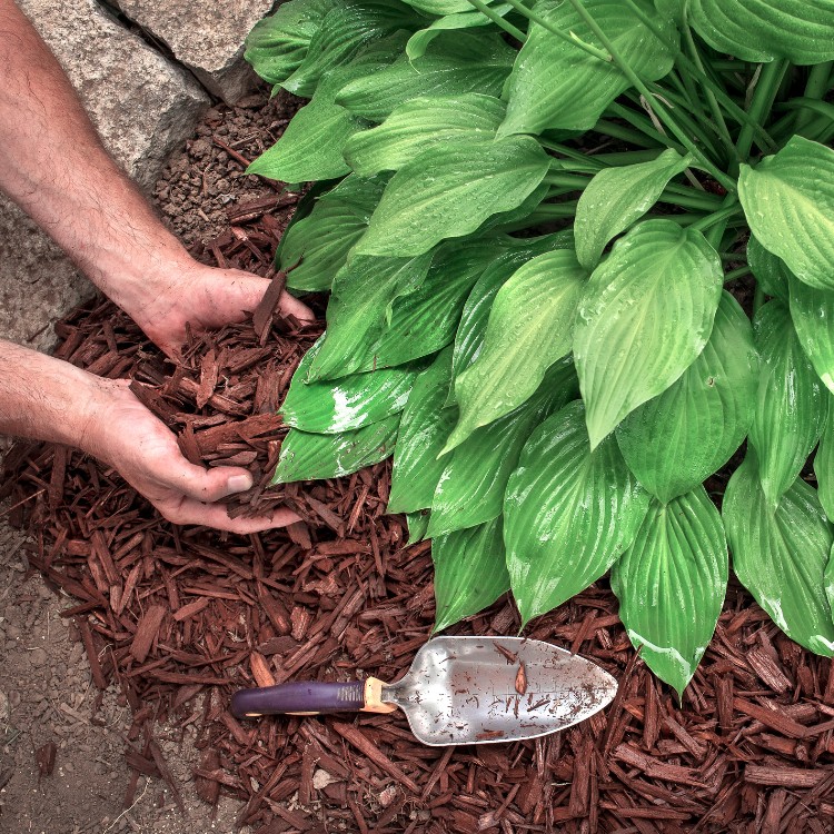 Elevation in Daytona Beach, FL Elevation in Daytona Beach, FL
